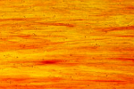 831ll Wissmach glas
